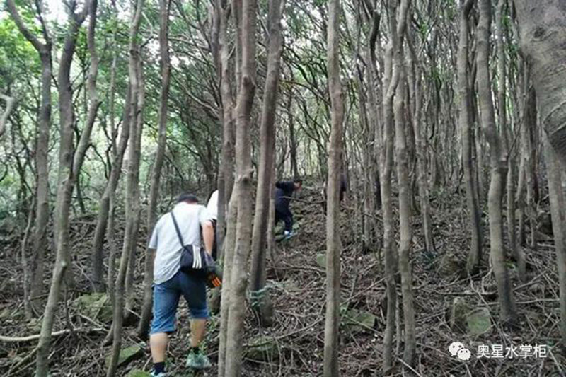 55岁后进入养寿“关键期”，如何养生？牢记“3忌、2勤、1戒”