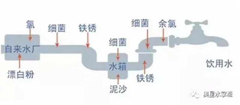【小阳人发烧必备】居家自愈：多饮水